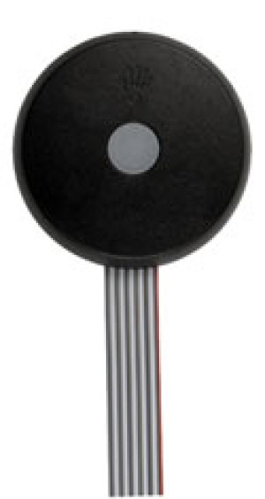 JAN BUTTON D-C-R