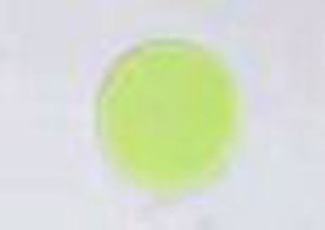 BC fluorescentna naljepnica